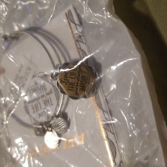 Charm bracelet - Picture 4 of 6